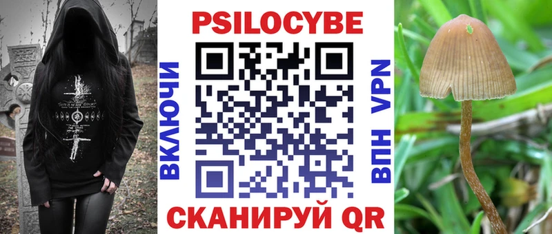 продажа наркотиков даркнет как зайти KRAKEN ссылки Псилоцибиновые грибы мухоморы Мглин